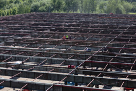 Axel Hartmann Fotografie