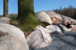 Axel Hartmann Fotografie