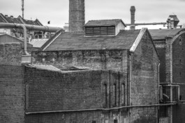 Axel Hartmann Fotografie