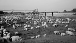 Axel Hartmann Fotografie